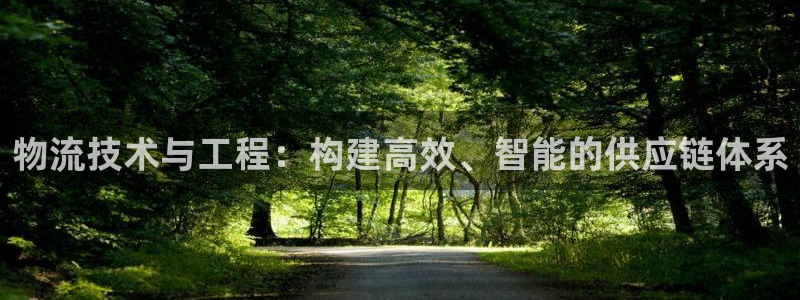,优游国际正规吗