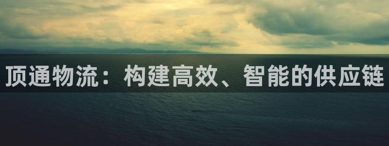 优游国际官网入口pc预测：顶通物流：构建高效、智能的供应链