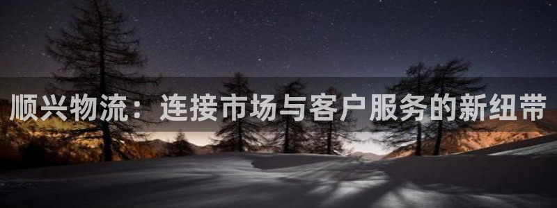 ,优游国际注册平台：顺兴物流：连接市场与客户服务的新纽带