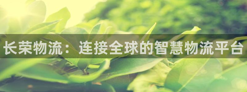 南宫,优游国际官网:长荣物流:连接全