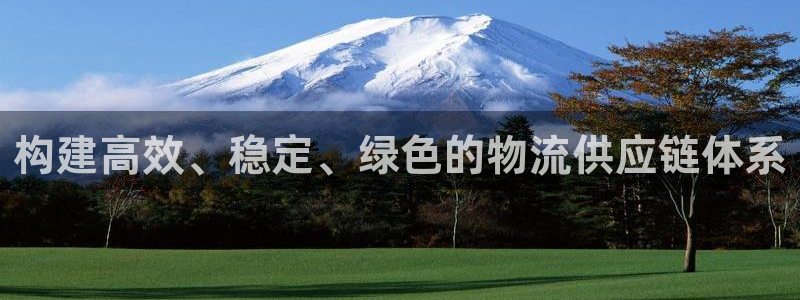 ,优游国际赌博被抓：构建高效、稳定、绿色的物流供应链体系