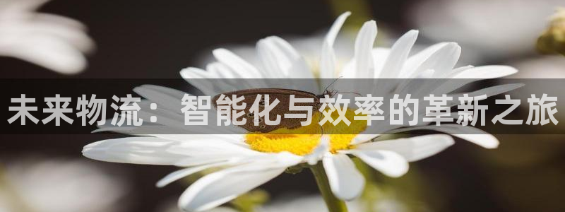 ,优游国际最稳打法:未来物流:智能化