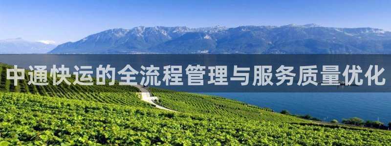 优游国际官网入口pc29官网版下载: