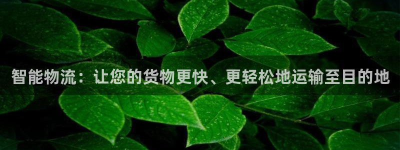 ,优游国际软件有什么用:智能物流:让