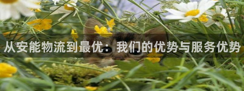 ,优游国际退款：从安能物流到最优：我