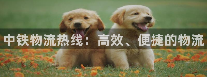 ,优游国际麻将:中铁物流热线:高效、