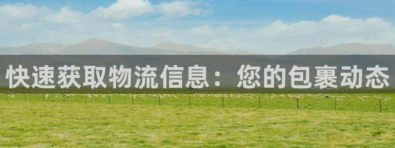 ,优游国际预测加拿大:快速获取物流信