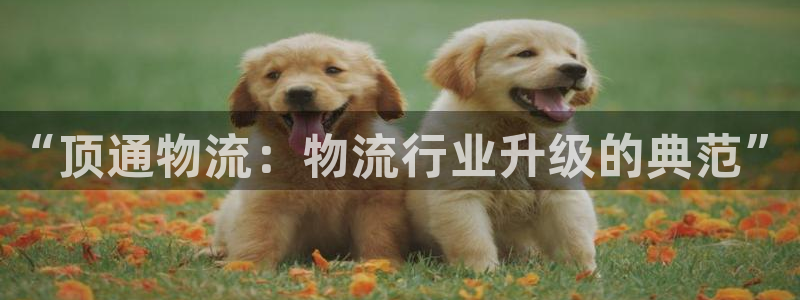 ,优游国际大神预测:“顶通物流:物流