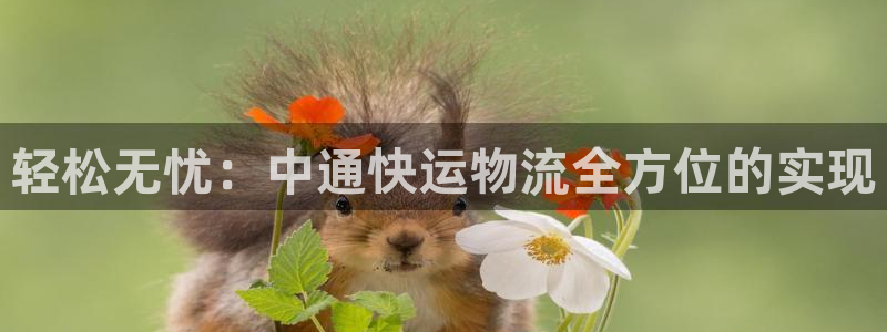 ,优游国际娱乐官网网页:轻松无忧:中