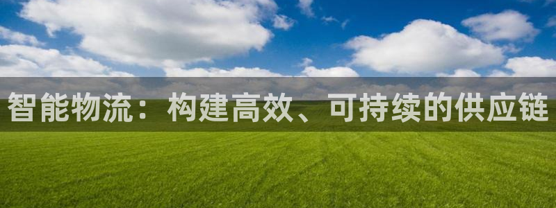 ,优游国际充值不到账：智能物流：构建