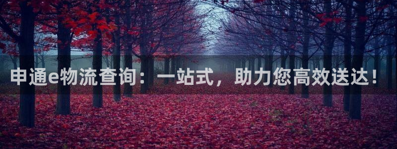 ,优游国际加拿大怎么玩:申通e物流查