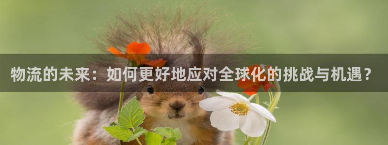 ,优游国际注册教程：物流的未来：如何