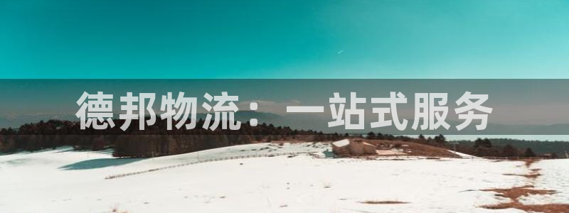 ,优游国际ip被限制怎么解决：德邦物