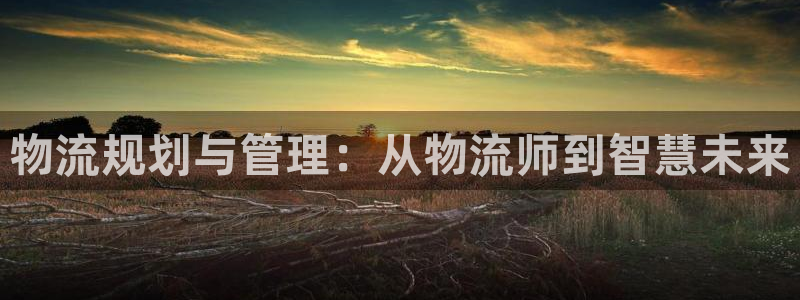 ,优游国际黑款：物流规划与管理：从物流师到智慧未来