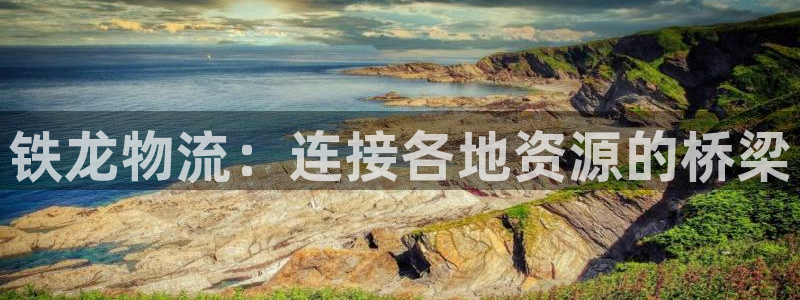 ,优游国际分分28输了能不能退：铁龙