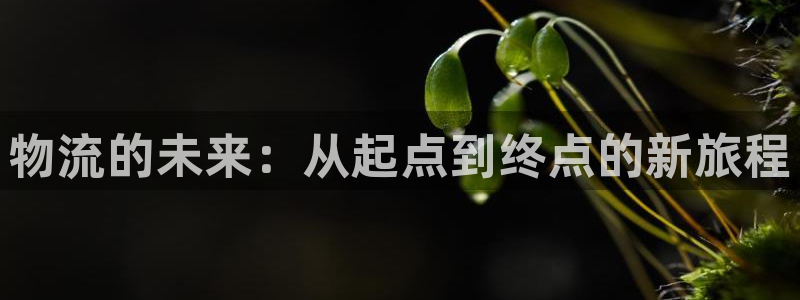 ,优游国际流水怎么算：物流的未来：从