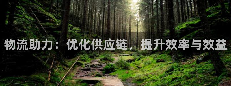 ,优游国际注册网址:物流助力:优化供