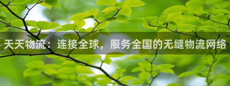 ,优游国际圈助手:天天物流:连接全球